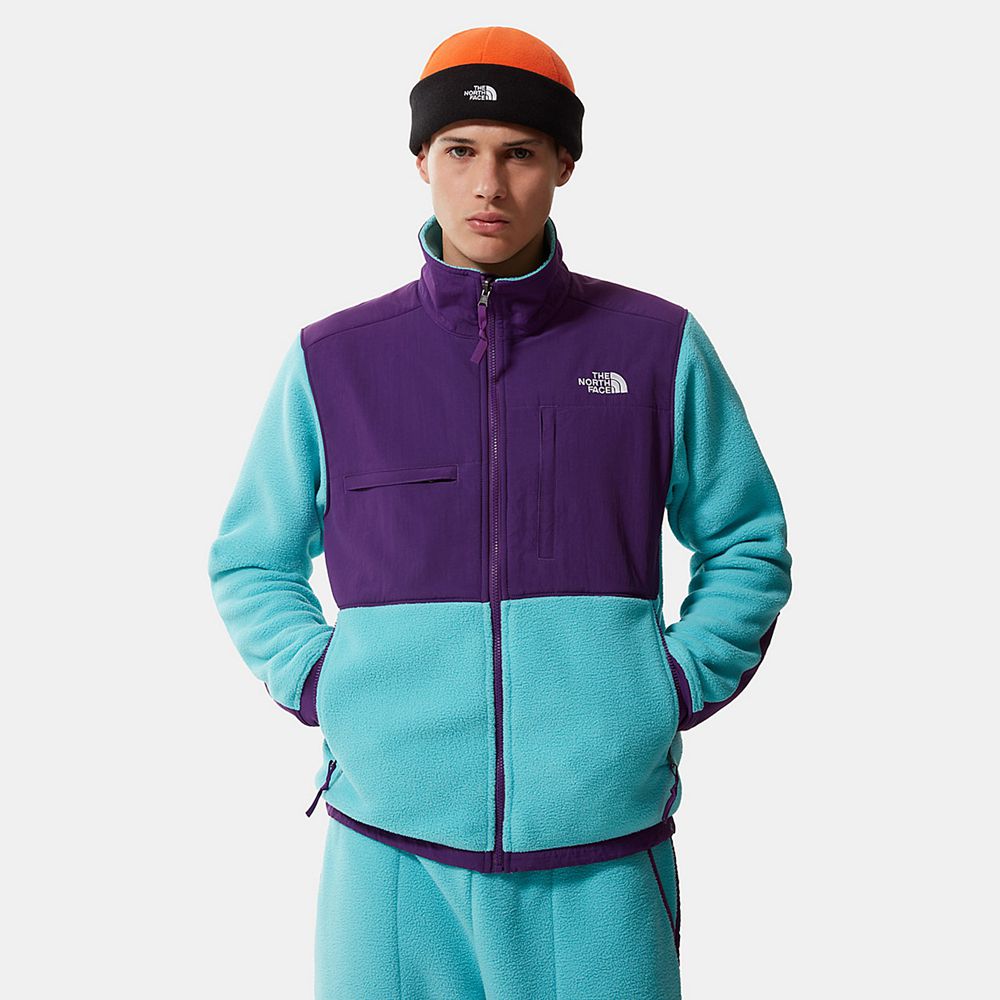 The North Face Fleece Jacket Mens Australia - The North Face Denali 2 Blue / Purple (MCI-564201)